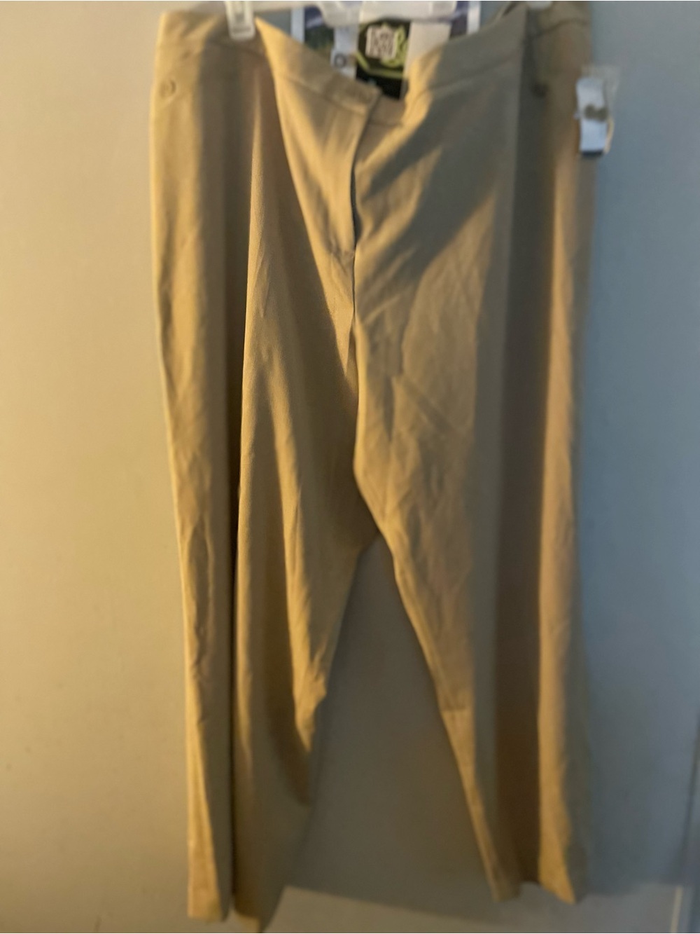Wide-Leg Pants in Beige